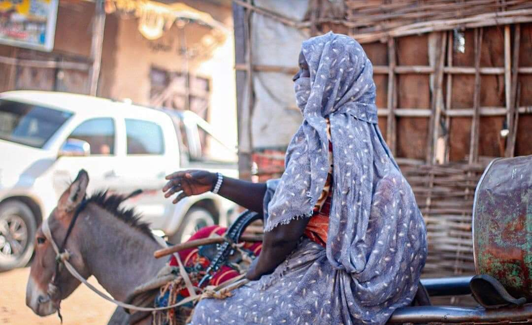 المياه النظيفة..تحدي جديد للنساء في دارفور ومصدر دخل